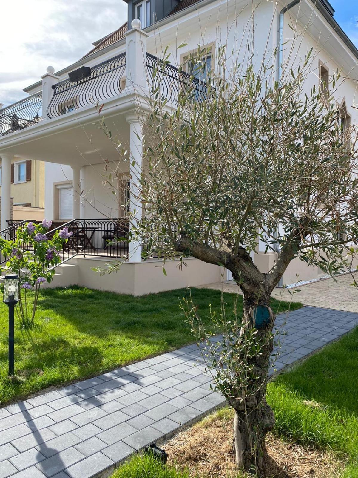 Primera Villa Singen Extérieur photo
